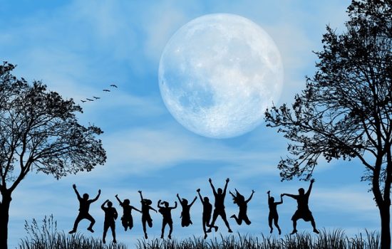 nature-4942436_640 (1)